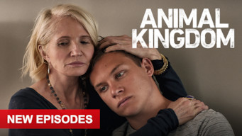Animal Kingdom: Season 4