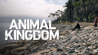 animal: Animal Kingdom Season 4 Netflix Release Date