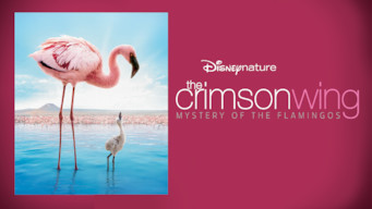 The Crimson Wing: Mystery of the Flamingos