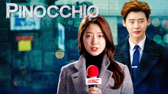 Is Pinocchio Season 1 2014 On Netflix Japan